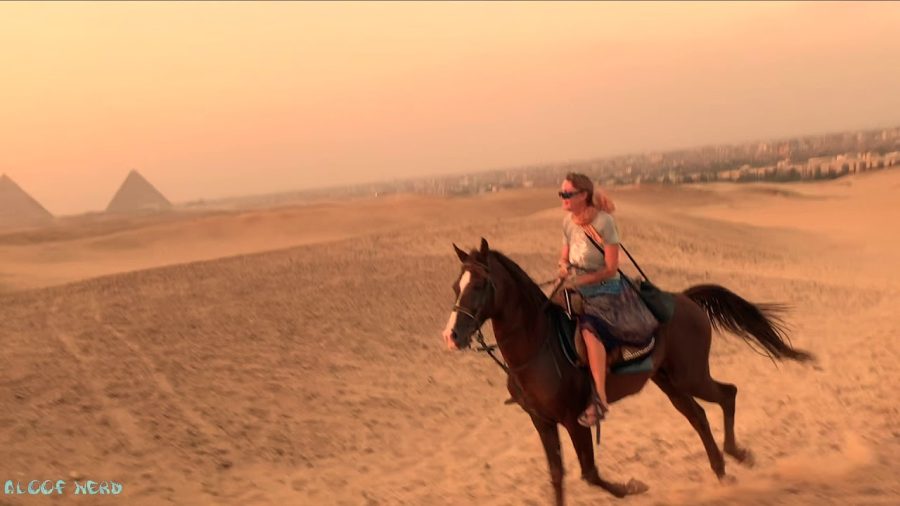 Horse Safari in Giza