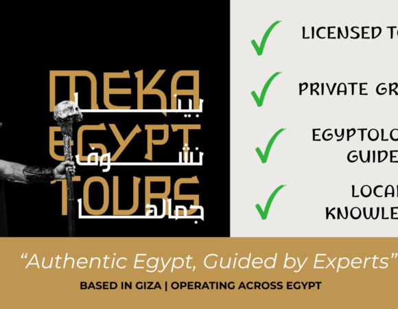Best Company for a Nile Cruise: Top Rated Operators 2026
