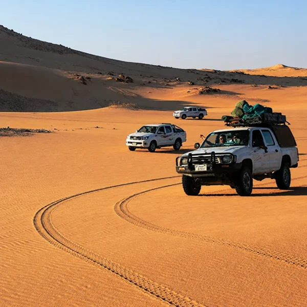 Desert Safari with Sandboarding & Sunset