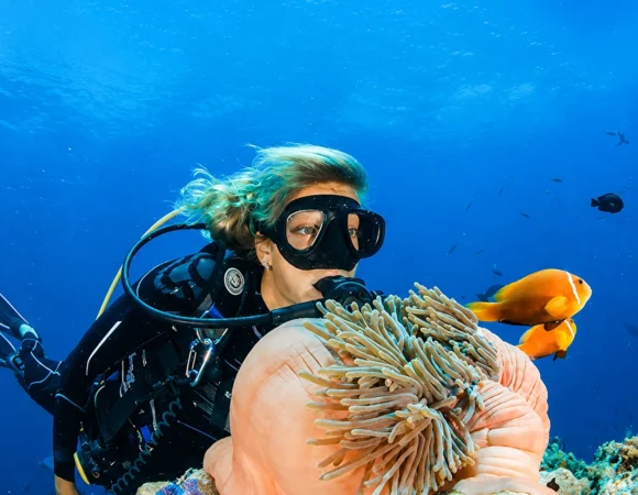 Ras Mohammed Beach Trip from Sharm