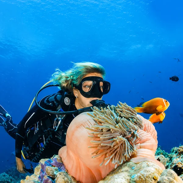 Ras Mohammed Beach Trip from Sharm