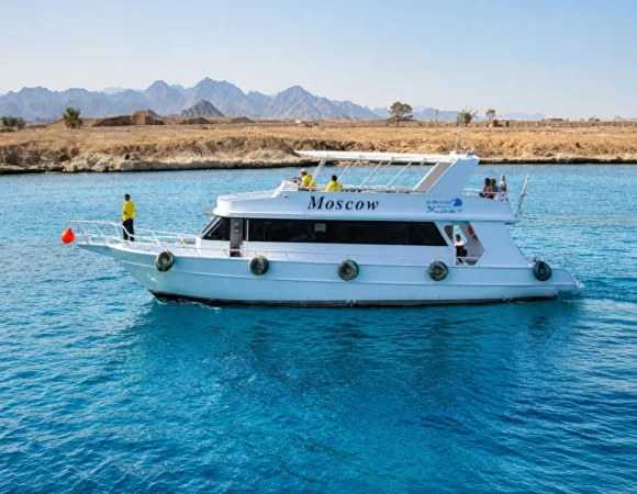 Snorkeling and Diving Blue hole Boat Trip