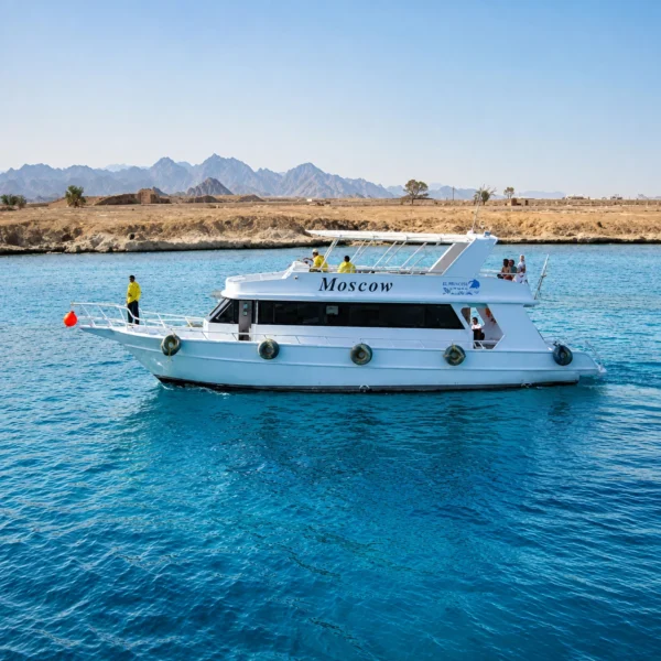 Snorkeling and Diving Blue hole Boat Trip