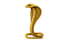 Ankh