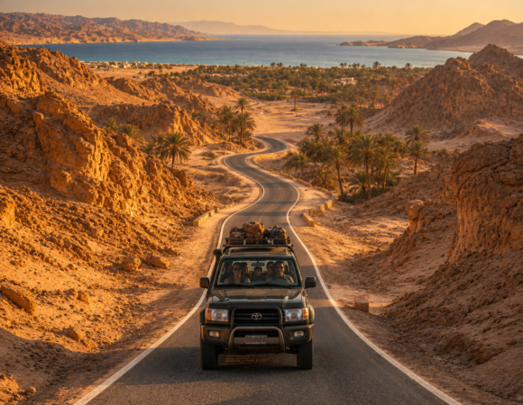 Scenic Road Trips