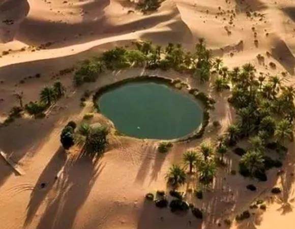 Bahariya oasis
