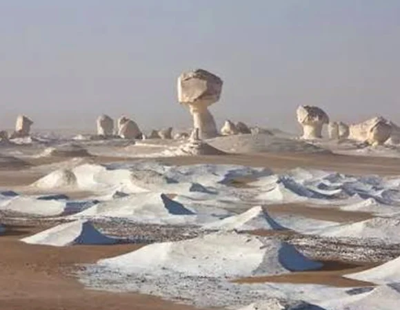 White desert national park